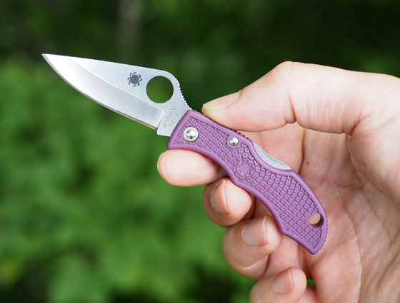 楽天市場】SPYDERCO 折りたたみナイフ LBKS3 てんとう虫 波刃