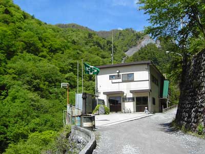 060522わさび2.jpg