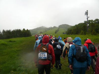 080609stat.jpg