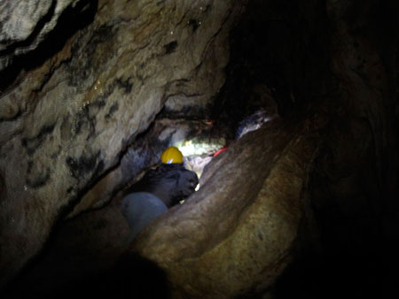 0906nippara5.jpg