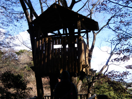 1101bilukyo3.jpg