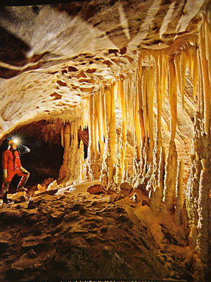 1101caveeri2.jpg