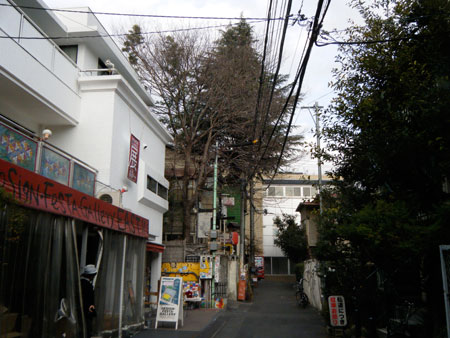 1101hide3.jpg