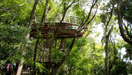 1304treehousebsa1.jpg