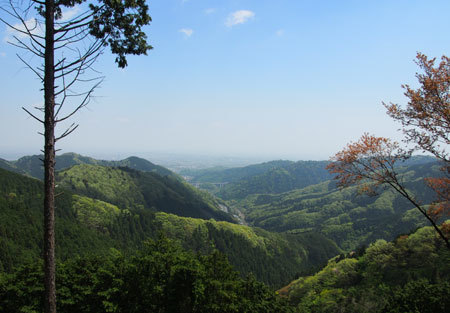 1504takaokansei4.jpg