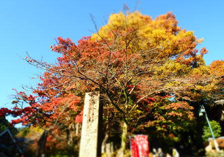 1611_takaokon3_.jpg