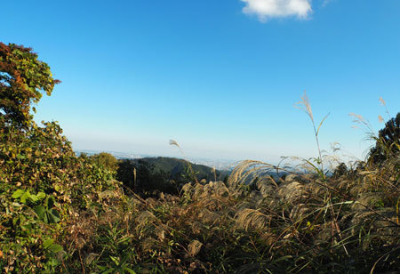 1611_takaokon4_.jpg