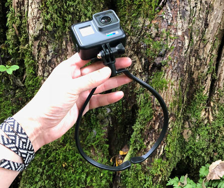 1810_GoPromount_.jpg