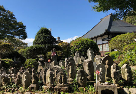 1810_fujinoino3_.jpg